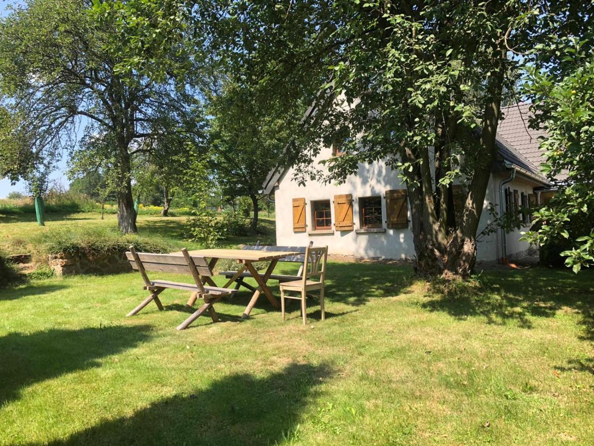 Klimatyczny Dom Kopaczowka Przytulna Miejscowka Z Kominkiem, Sauna I Ogrodem U Podnoza Gor Stolowych Radkow Buitenkant foto