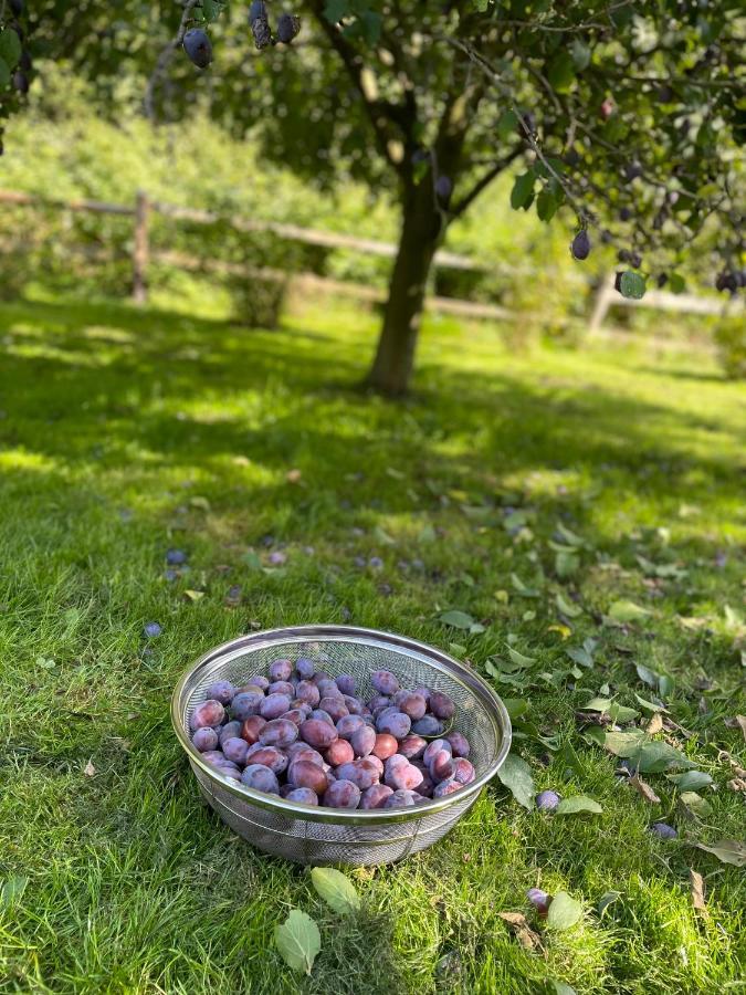 Klimatyczny Dom Kopaczowka Przytulna Miejscowka Z Kominkiem, Sauna I Ogrodem U Podnoza Gor Stolowych Radkow Buitenkant foto